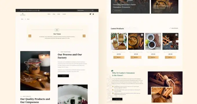 odoo-site-vitrine